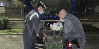 Pialassa Baiona: denunciati altri tre pescatori di frodo e sequestrati 150 kg di vongole