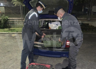 Pialassa Baiona: denunciati altri tre pescatori di frodo e sequestrati 150 kg di vongole