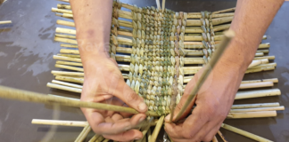 Bagnacavallo: corsi di intreccio all’Ecomuseo delle Erbe Palustri