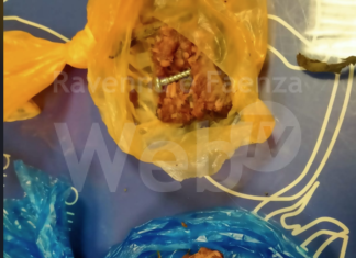 Polpette di carne con all’interno delle viti ritrovate in via Medaglie d’Oro