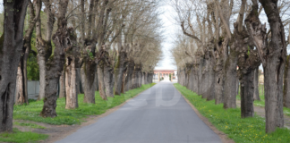Bagnacavallo: cimiteri aperti in occasione delle festività
