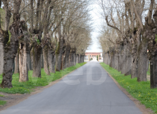 Bagnacavallo: cimiteri aperti in occasione delle festività