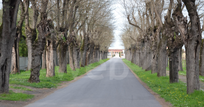 Schermata 2020-10-30 alle 15.52.07