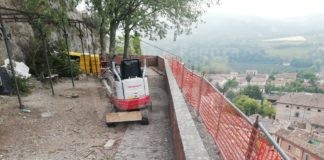 Mandorlo secolare abbattuto a Brisighella: interrogazione in Regione