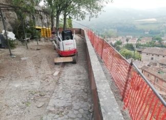 Mandorlo secolare abbattuto a Brisighella: interrogazione in Regione