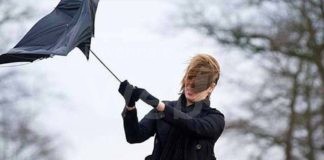 Protezione civile, allerta meteo gialla per vento e stato del mare