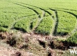 Colpo al distributore di benzina sulla Classicana: i ladri passati dai campi con una ruspa