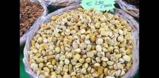 Castagne: primo bilancio d’annata positivo per i produttori dell’Alto Faentino