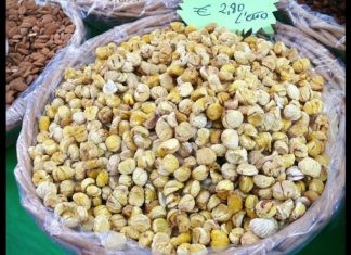 Castagne: primo bilancio d’annata positivo per i produttori dell’Alto Faentino