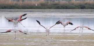 MUSA, continua fino al 13 dicembre la mostra In Salina fra Panorami di Acqua e Cielo