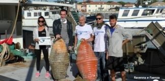 Troppi rifiuti in mare: Cifla, Cestha e i pescatori impegnati a pulire l’Adriatico dalla sporcizia