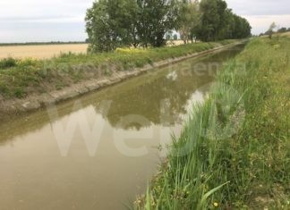 Al via lunedì i lavori di risistemazione del canale Carrarino