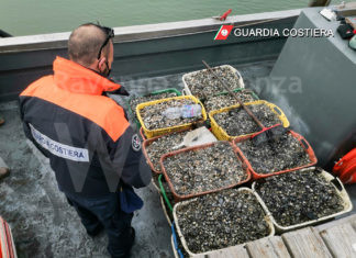 Pesca irregolare a Marina Romea, sequestrata mezza tonnellata di vongole