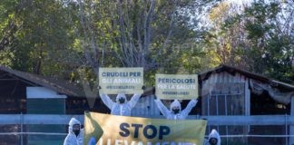 Visoni, manifestazione degli animalisti all’allevamento a San Marco di Ravenna