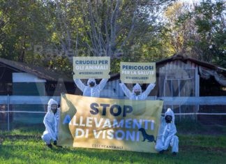Visoni, manifestazione degli animalisti all’allevamento a San Marco di Ravenna