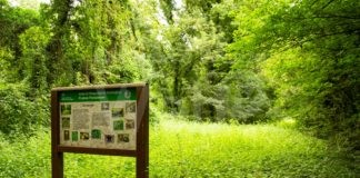 Unione: esperienze in natura per l’infanzia, un novembre tra esplorazioni e formazione