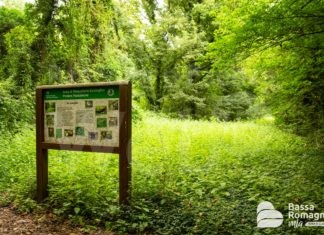 Unione: esperienze in natura per l’infanzia, un novembre tra esplorazioni e formazione