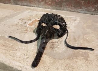 Concorso Arte Visiva Applicata dedicato a Pieranna Manara, i premiati