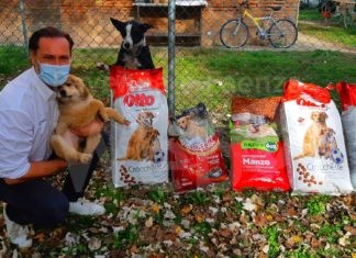 Cuore e Territorio dona oltre 100 Kg di crocchette ai cani senza padrone