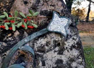 Un nuovo giglio in memoria di Elisa Bravi nel Parco del Loto a Lugo