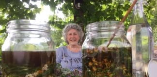 Ecomuseo delle Erbe Palustri: due corsi online sul mondo bio e la cucina indiana