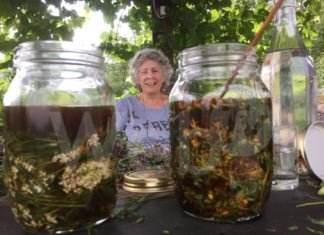 Ecomuseo delle Erbe Palustri: due corsi online sul mondo bio e la cucina indiana