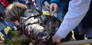 Giornata nazionale degli alberi: lunedì alla scuola Pasini messa a dimora di otto piante