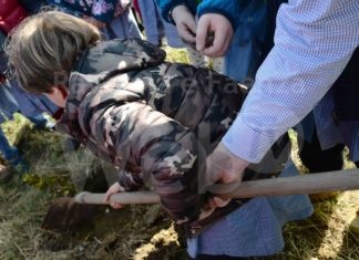 Unione: “Mettiamo radici per il futuro”, nuovi alberi in Bassa Romagna