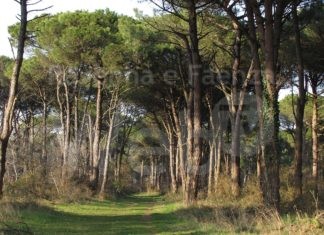 Quattro i progetti finanziati dal GAL Delta 2000 nel territorio di Ravenna