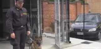 Sicurezza, il consiglio comunale valuterà l’introduzione di unità cinofile per la Polizia e attività di contrasto ai parcheggiatori abusivi