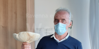 Intossicazione da funghi: in 6 in ospedale