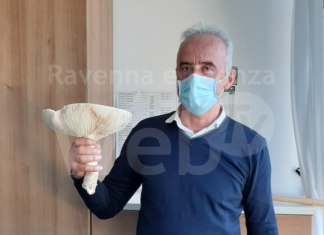 Intossicazione da funghi: in 6 in ospedale