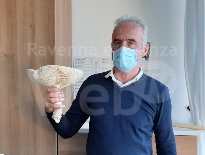 Schermata 2020-11-06 alle 12.59.10