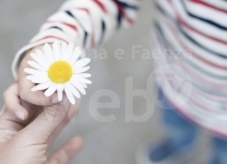 Massa Lombarda celebra la gentilezza con iniziative virtuali per coinvolgere tutti i bambini