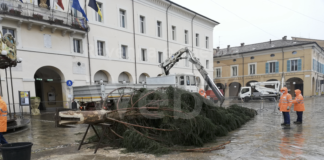 Cervia: in Piazza Garibaldi è arrivato l’albero di Natale donato in segno di amicizia dal Comune di Pinzolo-Madonna di Campiglio