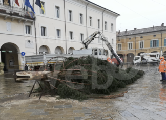 Cervia: in Piazza Garibaldi è arrivato l’albero di Natale donato in segno di amicizia dal Comune di Pinzolo-Madonna di Campiglio