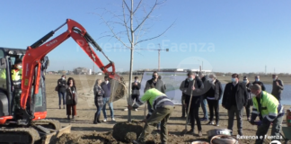 Prima pianta per il Parco Cesarea, la nuova grande area verde della città: apertura attesa per la primavera del 2021