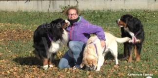“Dog sitting Covid”: ecco i volontari che portano a spasso i cani di chi si trova in quarantena