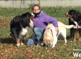 “Dog sitting Covid”: ecco i volontari che portano a spasso i cani di chi si trova in quarantena