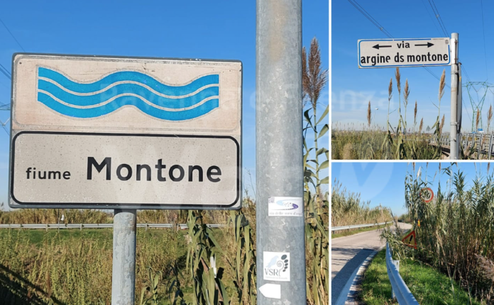 Schermata 2020-11-23 alle 11.45.26