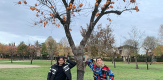 ‘Ma il giardino è sempre verde’ di Faenza vince la rassegna ViVi il verde