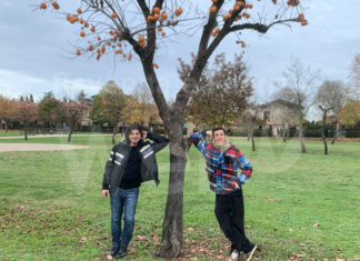 ‘Ma il giardino è sempre verde’ di Faenza vince la rassegna ViVi il verde