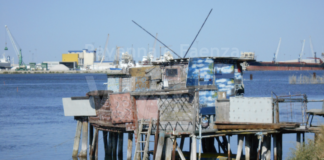 Pineta San Vitale e Pialassa Piomboni, ecco la prossima escursione consigliata da FIAB