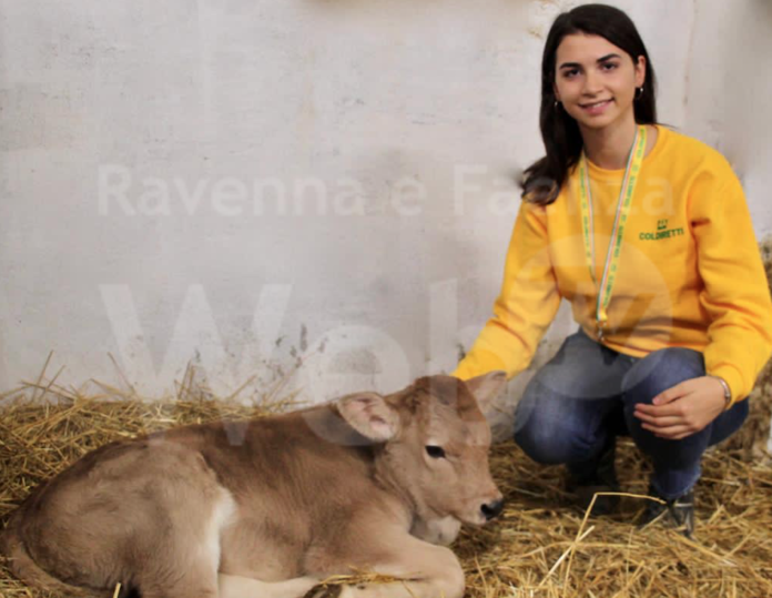 Schermata 2020-11-30 alle 11.51.39