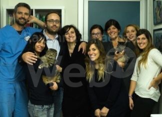 Addio a Tommaso Sintini, veterinario ed ex pallavolista colpito da un infarto a soli 44 anni