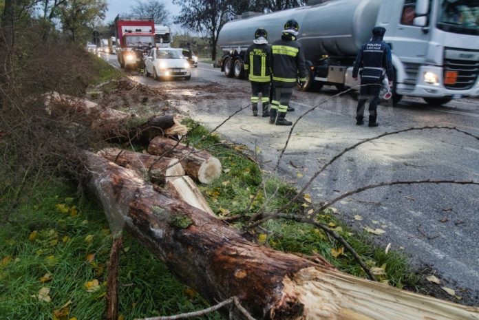 WhatsApp Image 2020-11-20 at 09.00.05