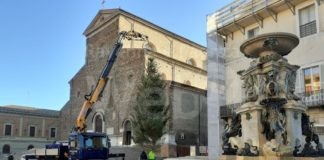 Arrivato in piazza l’albero di Natale