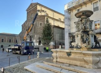 Arrivato in piazza l’albero di Natale