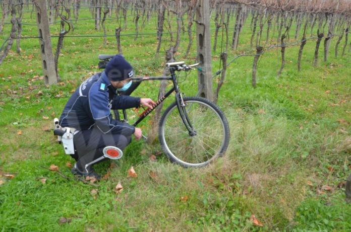 WhatsApp Image 2020-11-26 at 13.07.22