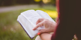 Patto per la lettura: a Lugo un’iniziativa per favorire l’incontro tra lettori e gruppi di lettura